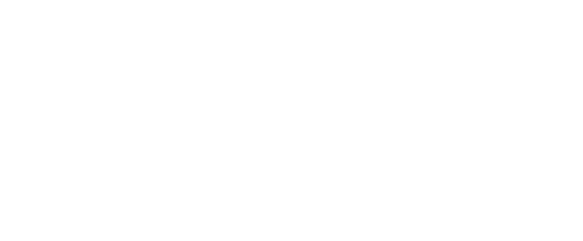 Nude Aesthetics logo